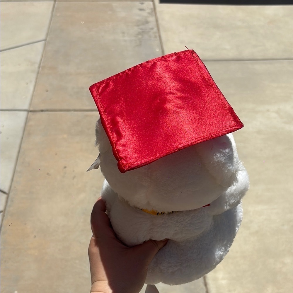 Graduation Teddy Bear with Red Cap and picture frame - Picture 3 of 7